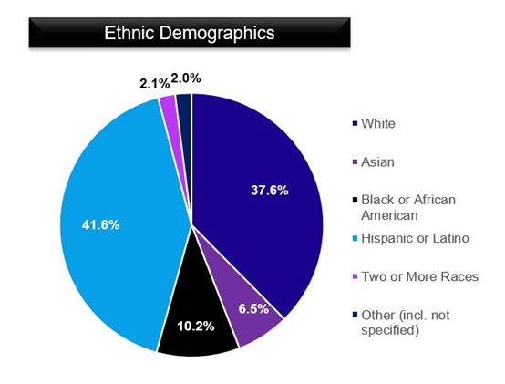 Ethnic Demographics